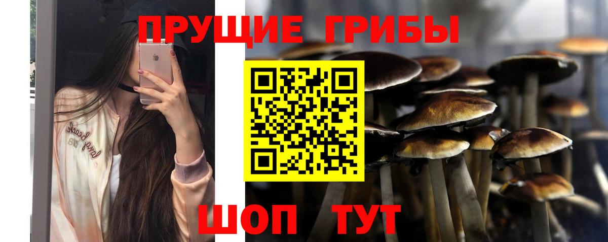 Псилоцибиновые грибы Psilocybine cubensis  Вход с VPN  Елизово 